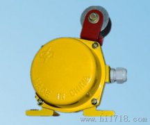 LLJ-B料流檢測器，料流開關(guān)，220V防爆型