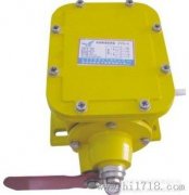 THZL-B-II縱向撕裂開關(guān)，撕裂檢測裝置，批發(fā)工程案例